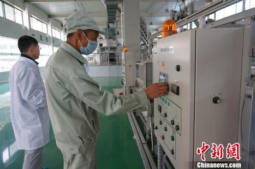 湖北三峽茶谷產(chǎn)業(yè)園重點項目集中開工