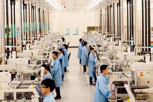 棒呆 四川新設自貿(mào)試驗區(qū),成都當仁不讓