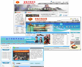 地方稅務(wù)局互聯(lián)網(wǎng)網(wǎng)站軟件開發(fā)及系統(tǒng)集成的網(wǎng)絡(luò)與信息安全軟件開發(fā)實(shí)踐
